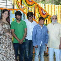 Bengal Tiger Movie Opening Photos | Picture 949621