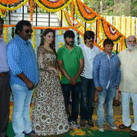 Bengal Tiger Movie Opening Photos | Picture 949622