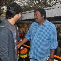 Bengal Tiger Movie Opening Photos | Picture 949647