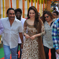 Tamanna at Bengal Tiger Movie Opening Stills | Picture 949651