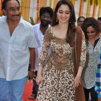 Tamanna at Bengal Tiger Movie Opening Stills | Picture 949655