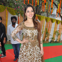 Tamanna at Bengal Tiger Movie Opening Stills | Picture 949660