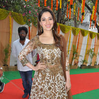 Tamanna at Bengal Tiger Movie Opening Stills | Picture 949661