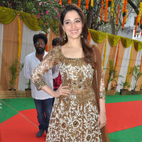 Tamanna at Bengal Tiger Movie Opening Stills | Picture 949663