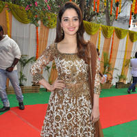 Tamanna at Bengal Tiger Movie Opening Stills | Picture 949690