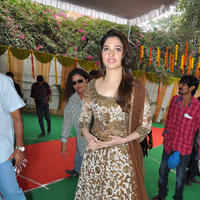 Tamanna at Bengal Tiger Movie Opening Stills | Picture 949692