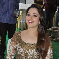 Tamanna at Bengal Tiger Movie Opening Stills | Picture 949693