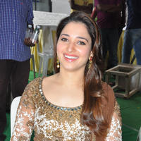Tamanna at Bengal Tiger Movie Opening Stills | Picture 949695