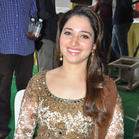 Tamanna at Bengal Tiger Movie Opening Stills | Picture 949697