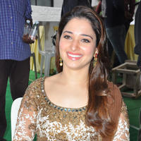 Tamanna at Bengal Tiger Movie Opening Stills | Picture 949698