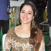 Tamanna at Bengal Tiger Movie Opening Stills | Picture 949699