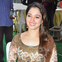 Tamanna at Bengal Tiger Movie Opening Stills | Picture 949700