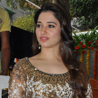 Tamanna at Bengal Tiger Movie Opening Stills | Picture 949701