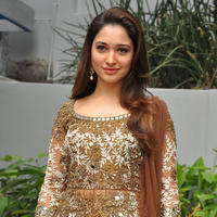 Tamanna at Bengal Tiger Movie Opening Stills | Picture 949712