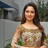 Tamanna at Bengal Tiger Movie Opening Stills | Picture 949725