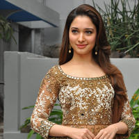 Tamanna at Bengal Tiger Movie Opening Stills | Picture 949726
