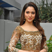 Tamanna at Bengal Tiger Movie Opening Stills | Picture 949727
