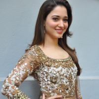 Tamanna at Bengal Tiger Movie Opening Stills | Picture 949737