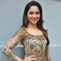 Tamanna at Bengal Tiger Movie Opening Stills | Picture 949738