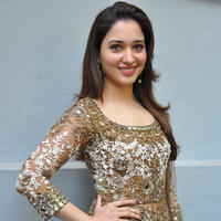 Tamanna at Bengal Tiger Movie Opening Stills | Picture 949739