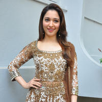 Tamanna at Bengal Tiger Movie Opening Stills | Picture 949742