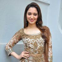 Tamanna at Bengal Tiger Movie Opening Stills | Picture 949744