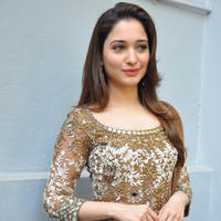 Tamanna at Bengal Tiger Movie Opening Stills | Picture 949747