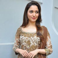 Tamanna at Bengal Tiger Movie Opening Stills | Picture 949748