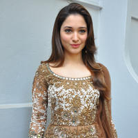 Tamanna at Bengal Tiger Movie Opening Stills | Picture 949749