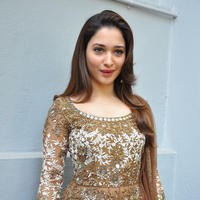Tamanna at Bengal Tiger Movie Opening Stills | Picture 949750