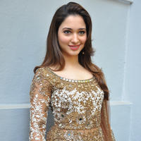 Tamanna at Bengal Tiger Movie Opening Stills | Picture 949753
