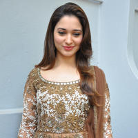 Tamanna at Bengal Tiger Movie Opening Stills | Picture 949757