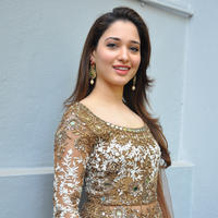 Tamanna at Bengal Tiger Movie Opening Stills | Picture 949767