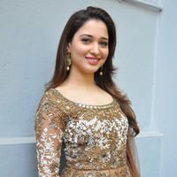 Tamanna at Bengal Tiger Movie Opening Stills | Picture 949768