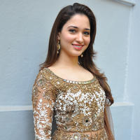 Tamanna at Bengal Tiger Movie Opening Stills | Picture 949769
