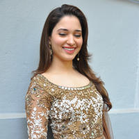 Tamanna at Bengal Tiger Movie Opening Stills | Picture 949771