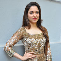 Tamanna at Bengal Tiger Movie Opening Stills | Picture 949774