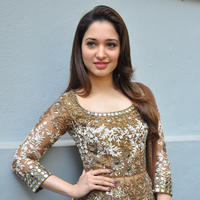 Tamanna at Bengal Tiger Movie Opening Stills | Picture 949775