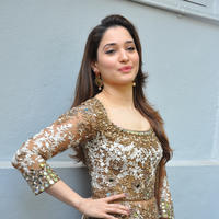 Tamanna at Bengal Tiger Movie Opening Stills | Picture 949779