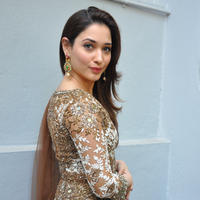 Tamanna at Bengal Tiger Movie Opening Stills | Picture 949783