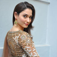 Tamanna at Bengal Tiger Movie Opening Stills | Picture 949785