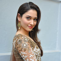 Tamanna at Bengal Tiger Movie Opening Stills | Picture 949791