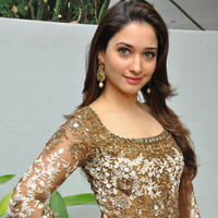 Tamanna at Bengal Tiger Movie Opening Stills | Picture 949798