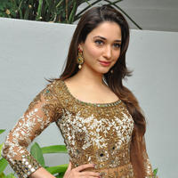 Tamanna at Bengal Tiger Movie Opening Stills | Picture 949799
