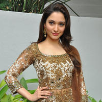Tamanna at Bengal Tiger Movie Opening Stills | Picture 949801