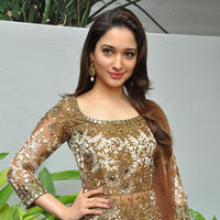 Tamanna at Bengal Tiger Movie Opening Stills | Picture 949804