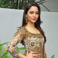 Tamanna at Bengal Tiger Movie Opening Stills | Picture 949806