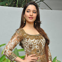 Tamanna at Bengal Tiger Movie Opening Stills | Picture 949809
