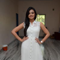 Nikitha Narayan at Ladies and Gentlemen Press Meet Photos | Picture 949941