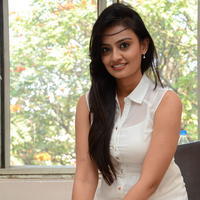 Nikitha Narayan at Ladies and Gentlemen Press Meet Photos | Picture 949993